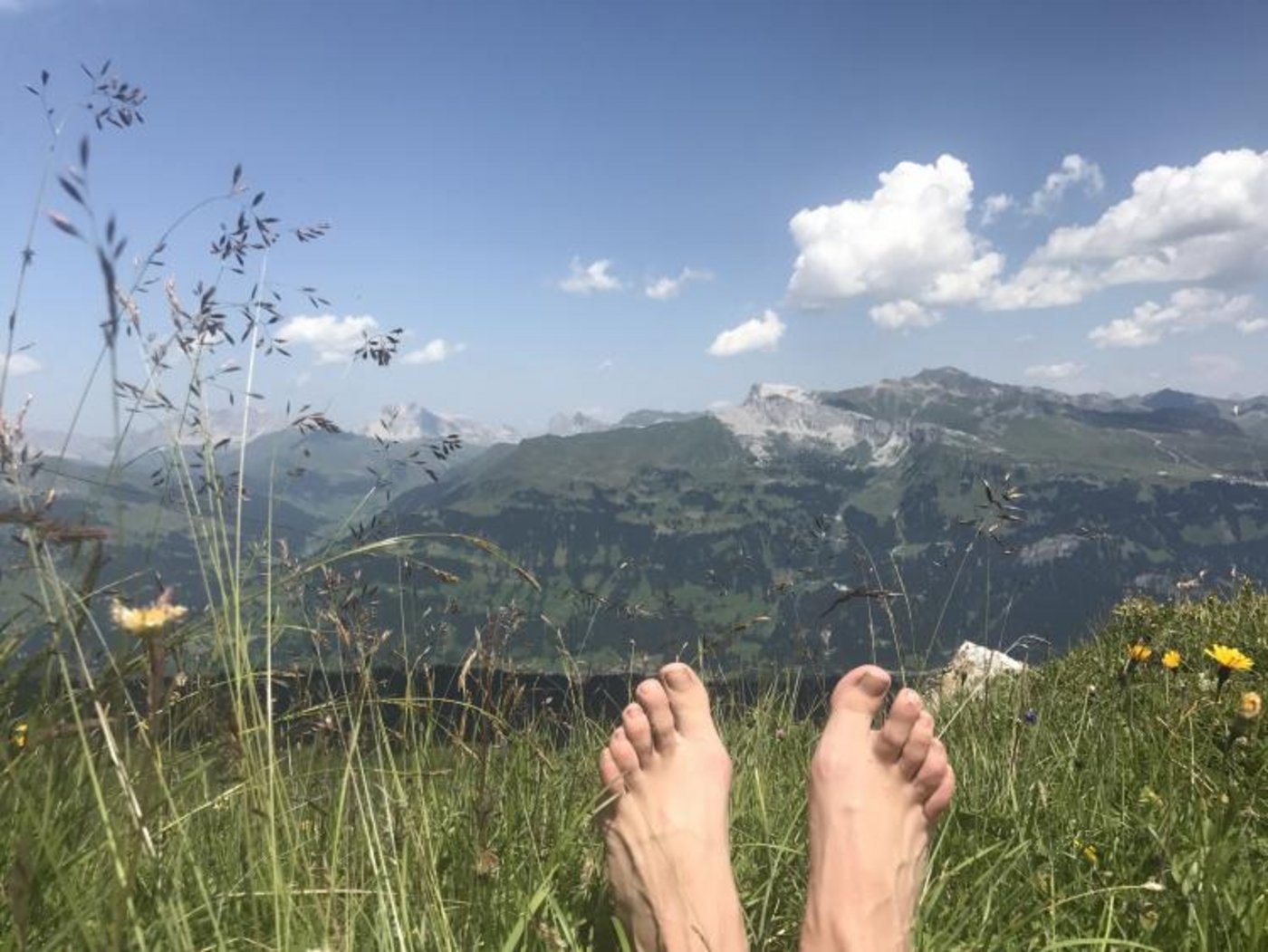 Eindrücke von der Alp Fideriser Duranna. (Bilder zVg)