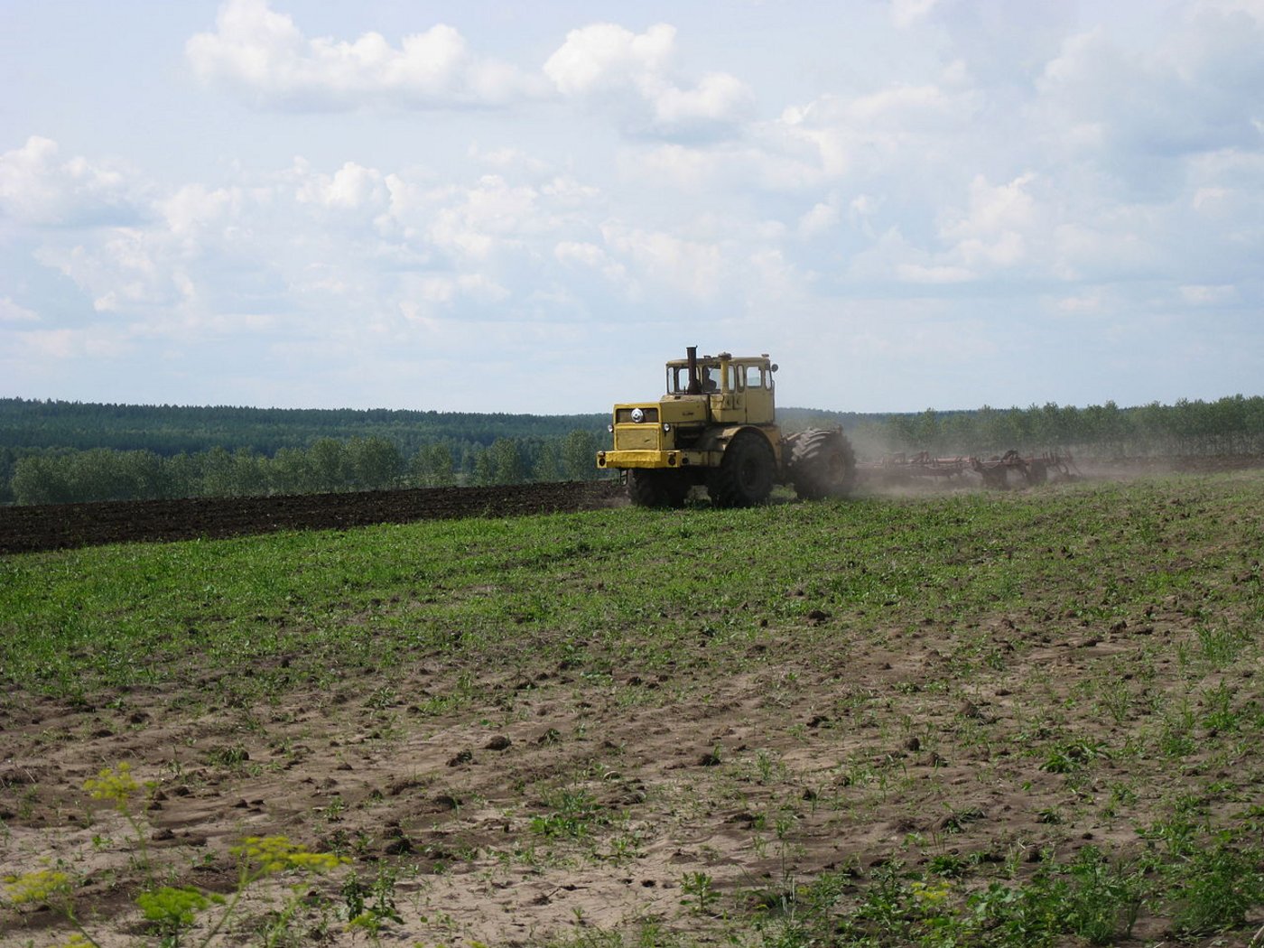 Die russischen Sanktionen dürften Investoren abschrecken, in die Land- und Ernährungswirtschaft des Landes zu investieren. (Bild: Станислав Мельников)