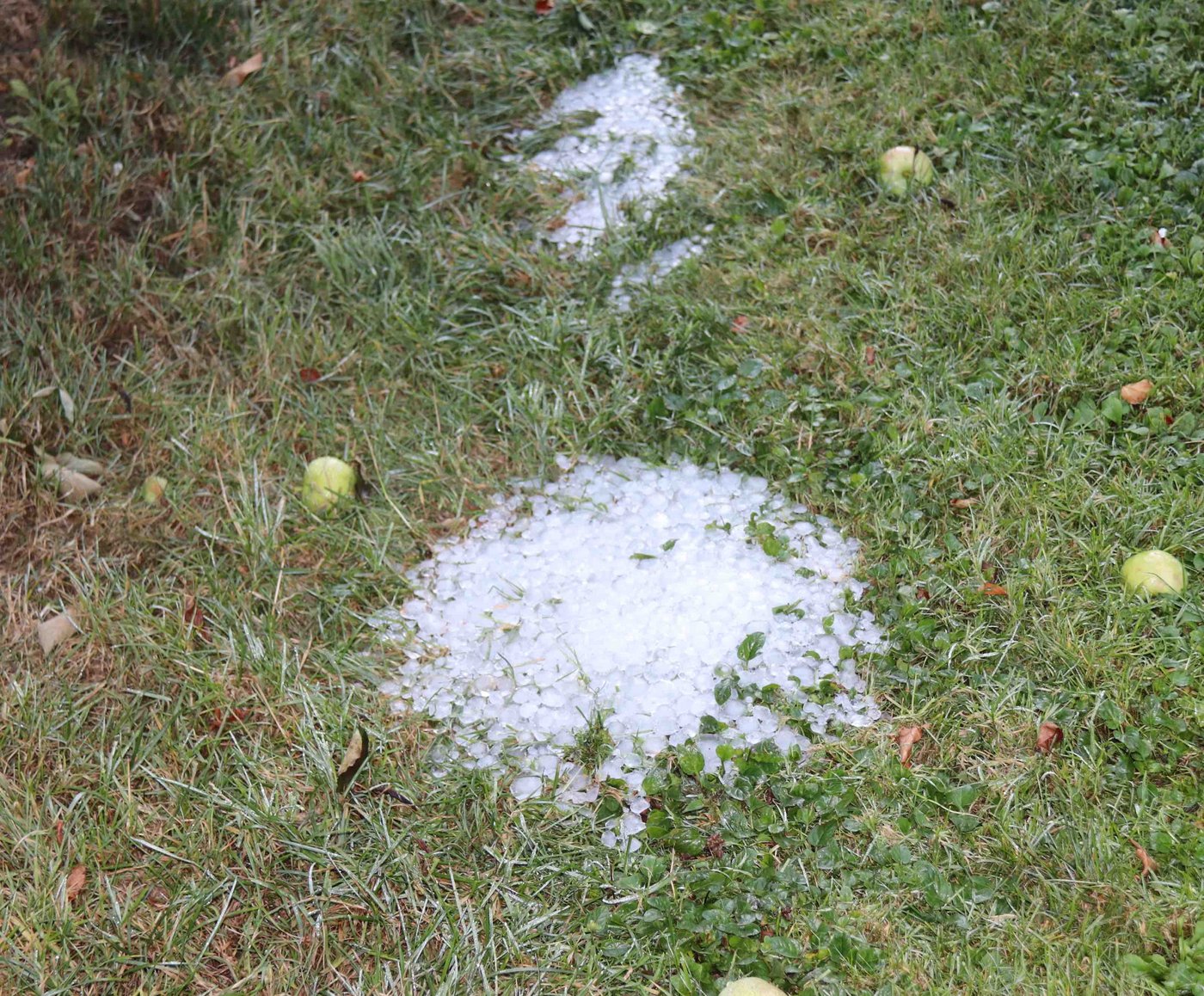 Zwischen den Hagelnetzen in den Obstanlagen sammelte sich der Hagel an, welcher noch nach über 12 Stunden sichtbar war. (Bild RoMü)