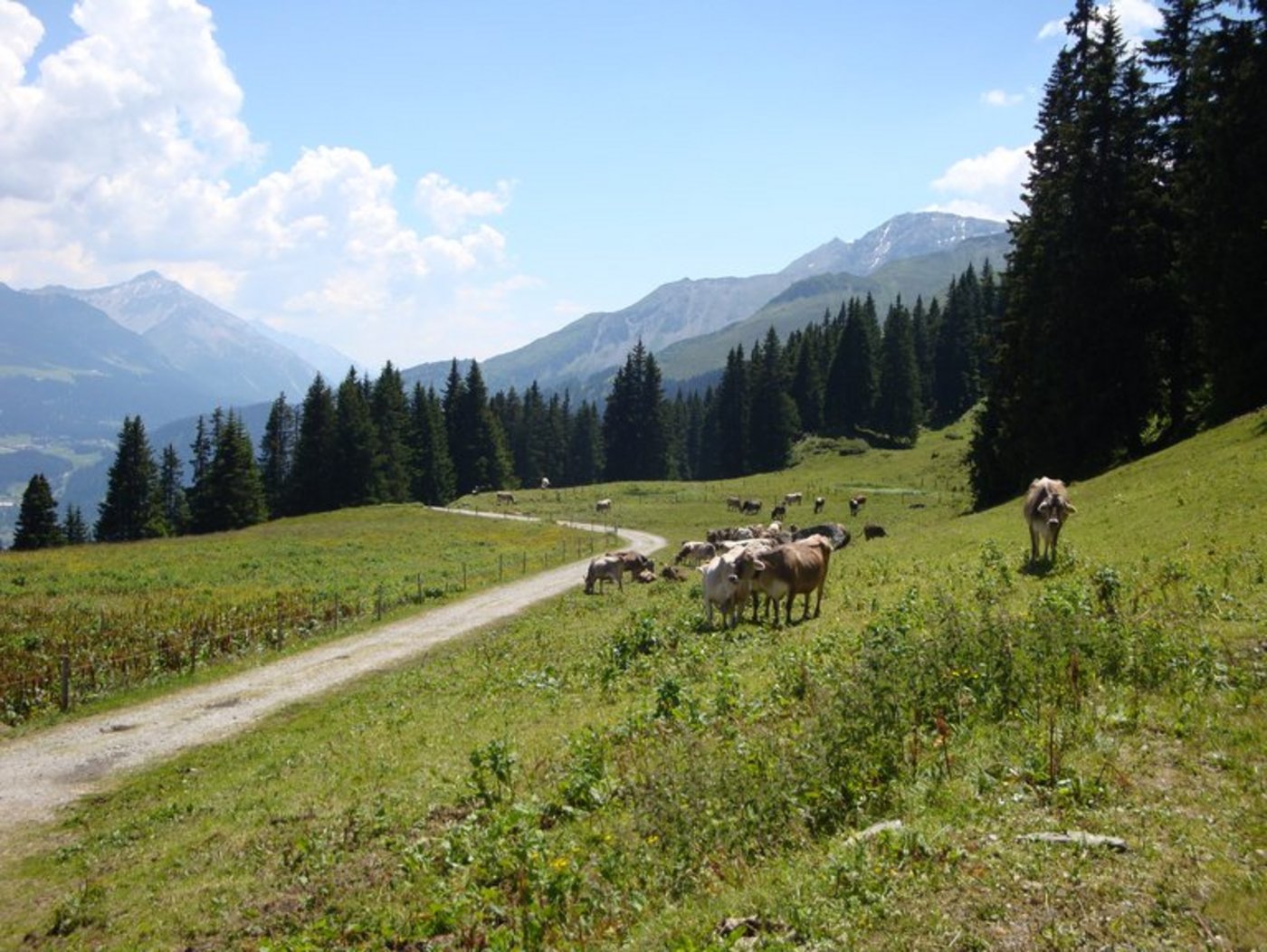 Während der Tagung sind Exkursionen geplant. (Symbolbild lid)