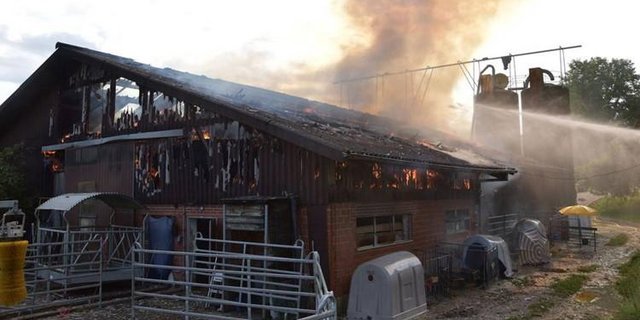 Der Stall in Kleinlützel SO stand am vergangenen Mittwochmorgen in Flammen. Das Feuer konnte gelöscht die Tiere in Sicherheit gebracht werden. (Bild Kantonspolizei Solothurn)