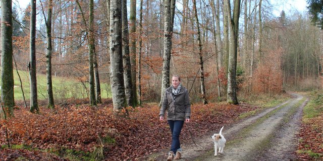 Vorbildlich: Angeleinter Hund im Wald (Bild Trudi Haas)