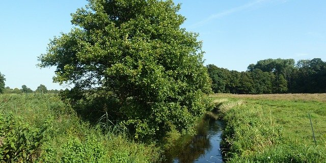 Die Wasserqualität der Aare bereitet weniger Sorge als jene kleinerer Fliessgewässer im Mittelland. (Symbolbild Pixabay)