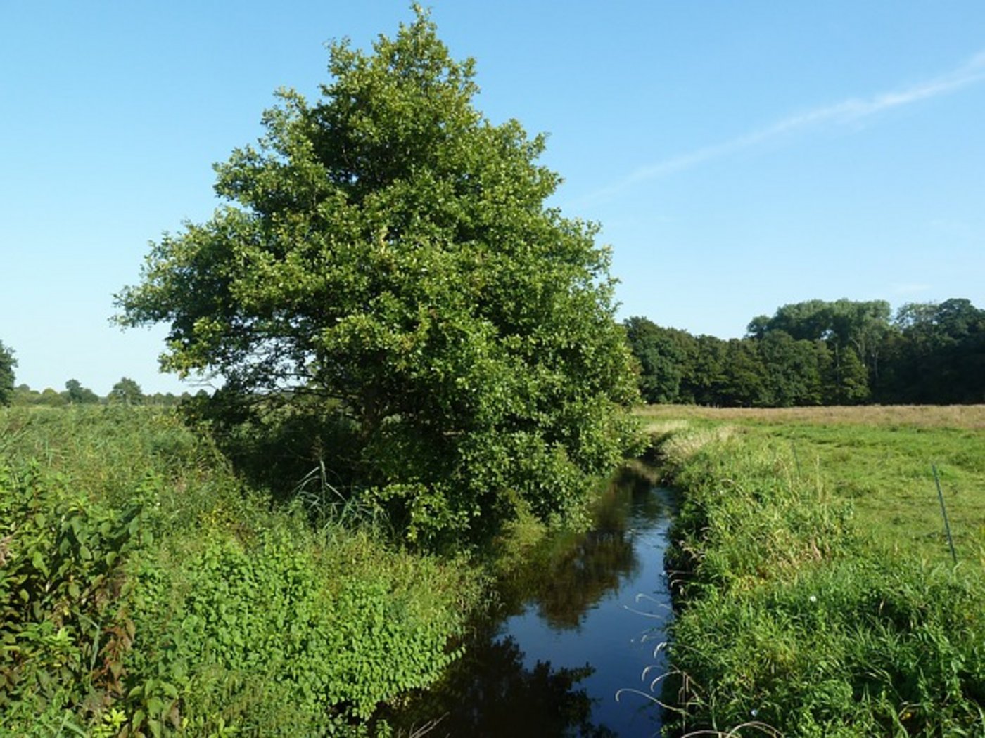 Die Wasserqualität der Aare bereitet weniger Sorge als jene kleinerer Fliessgewässer im Mittelland. (Symbolbild Pixabay)