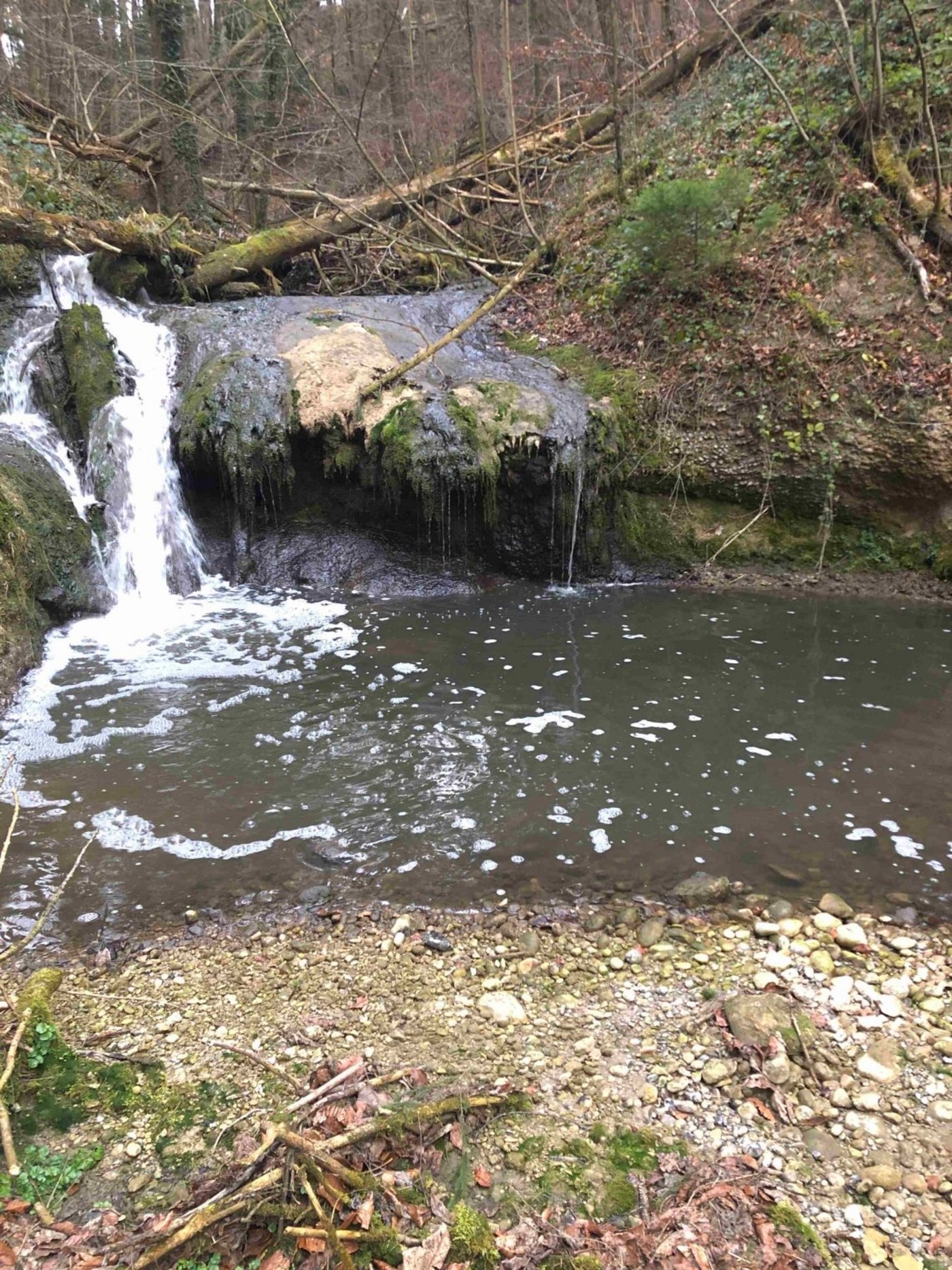 Für die Fische in der Glatt bestehe keine Gefahr. (Bild Kantonspolizei St. Gallen)