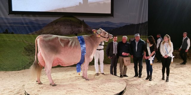 Grosse Triumphatorin: Zeus Palma aus dem Stall des Plantahofs in Landquart GR. (Bild Braunvieh Schweiz)