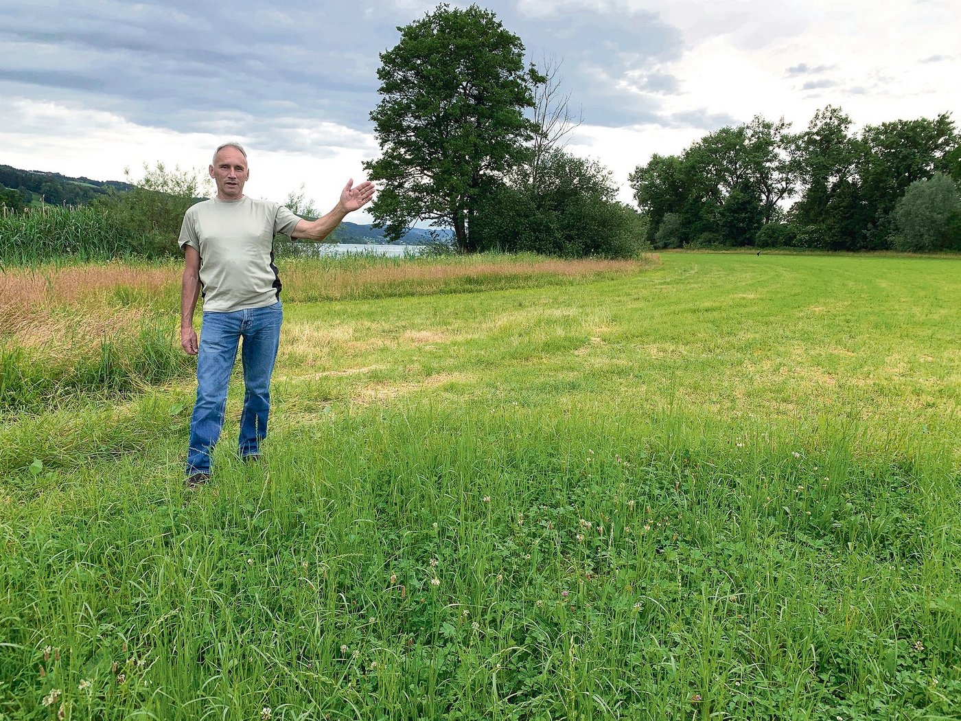 Und ab hier nochmals 25 Meter nicht düngbarer Gewässerraum ins Wiesland. Landwirt Josef Näf zeigt die vorgesehenen Ausscheidungen am Baldeggersee.  (Bild Josef Scherer)