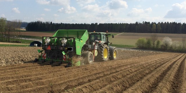 Die Bodenbedingungen für das Legen der Kartoffeln sind gut. Aufgrund der momentan trockenen Witterung ist der Boden tragfähiger. Dennoch bleibt zu bedenken, dass je nach Parzelle unterschiedliche Bodeneigenschaften herrschen. (Bild David Perler)