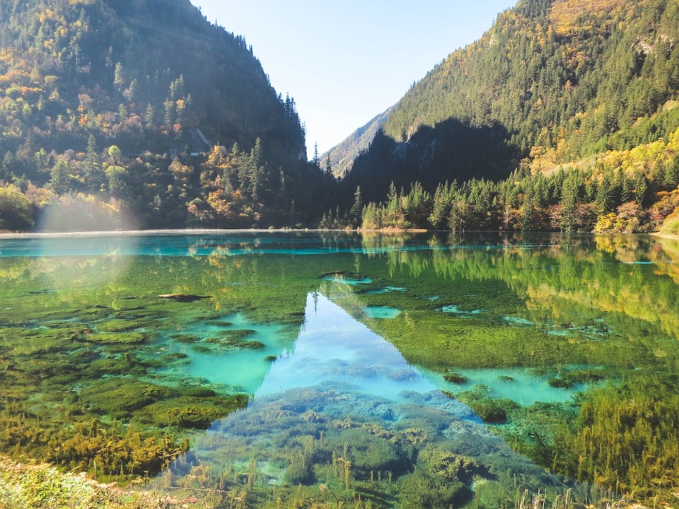 Ein Wald in China. (Symbolbild Pixabay)