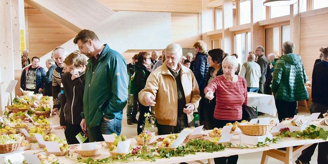 Die umfassende Ausstellung von alten Obstsorten stiess auch bei Nicht-Fachleuten auf ein grosses Interesse.(Bilder Heidy Beyeler)