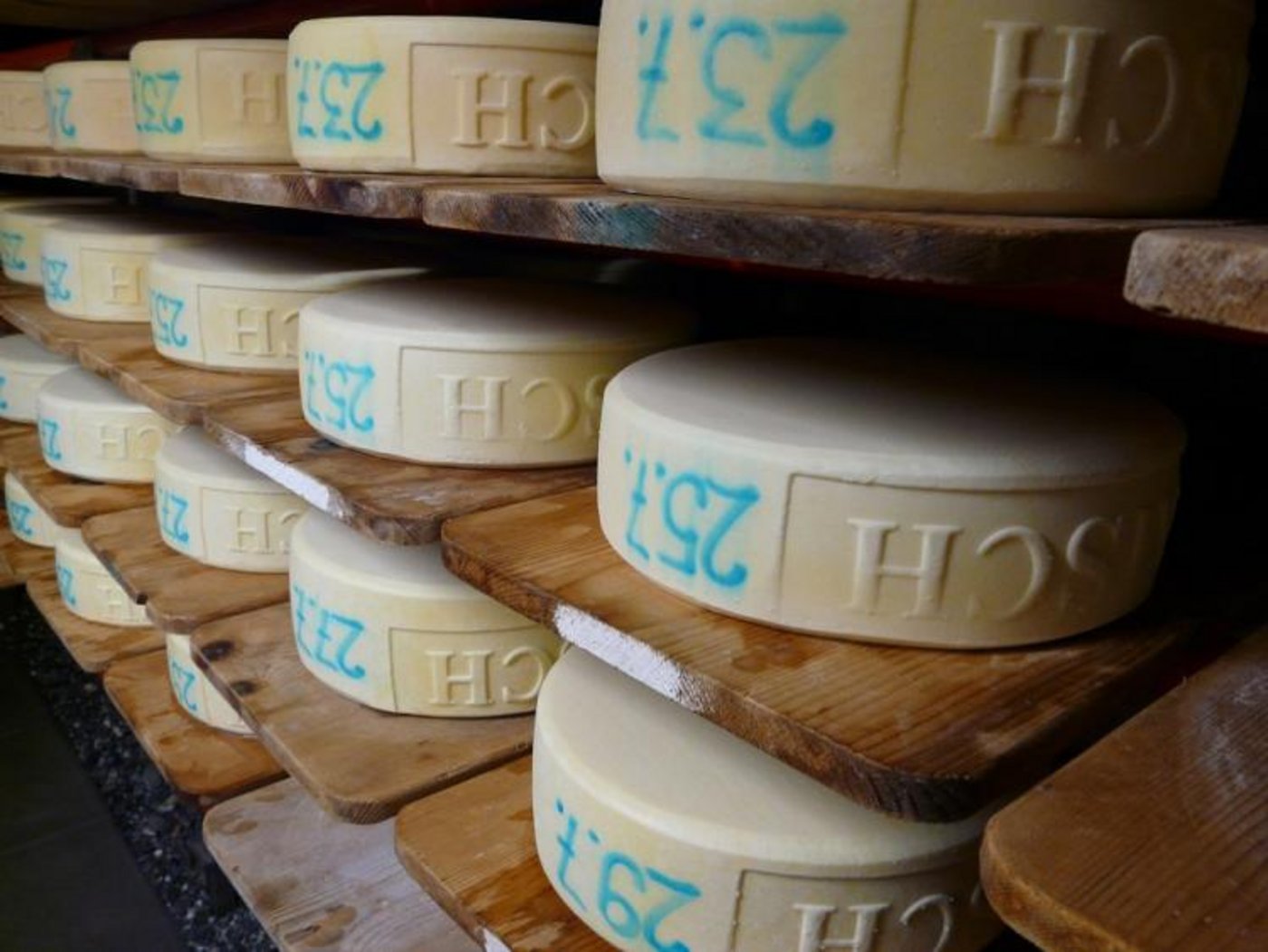 Die Käse der Alp Laisch. (Bilder zVg)