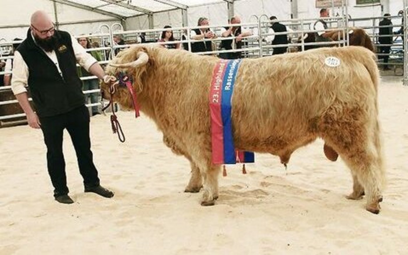 Siegerstier Dynamo von Barong mit Markus Tschan, Leiter Landwirtschaft, Zentrum Erlenhof, Reinach BL.