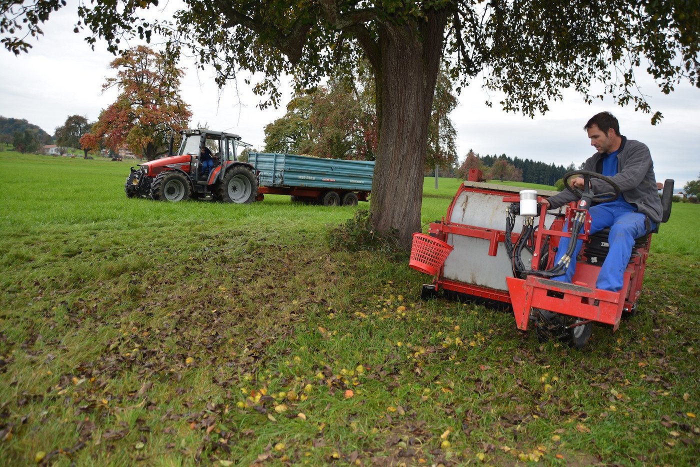 Die Auflesemaschine von Adrian Muff im Einsatz. (Bilder Josef Scherer)