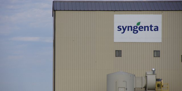 Syngenta bedauert, dass das BLW die Zulassung für den Wirkstoff entzog. (Bild lid /mr)