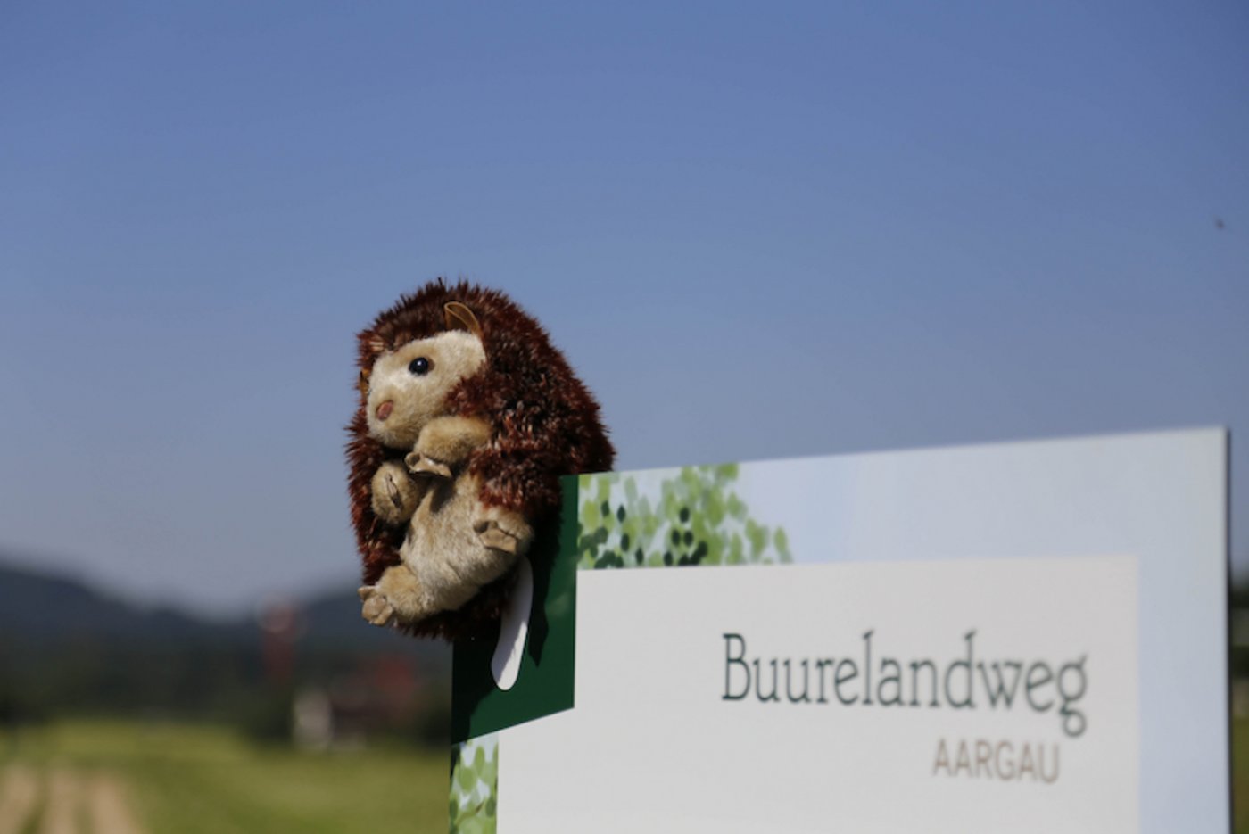 Der Buurelandweg ist 4,5 Kilometer lang und ist mit dem Kinderwagen befahrbar. (Bild lid)