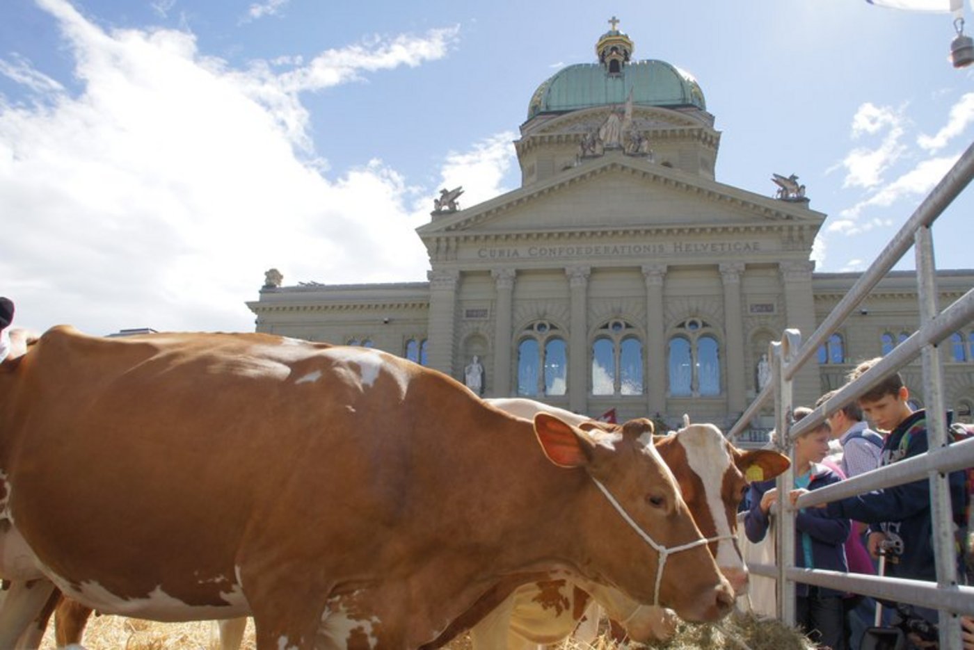 In den letzten Jahren haben sich die Volksinitiativen zur Landwirtschaft gehäuft. (lid)