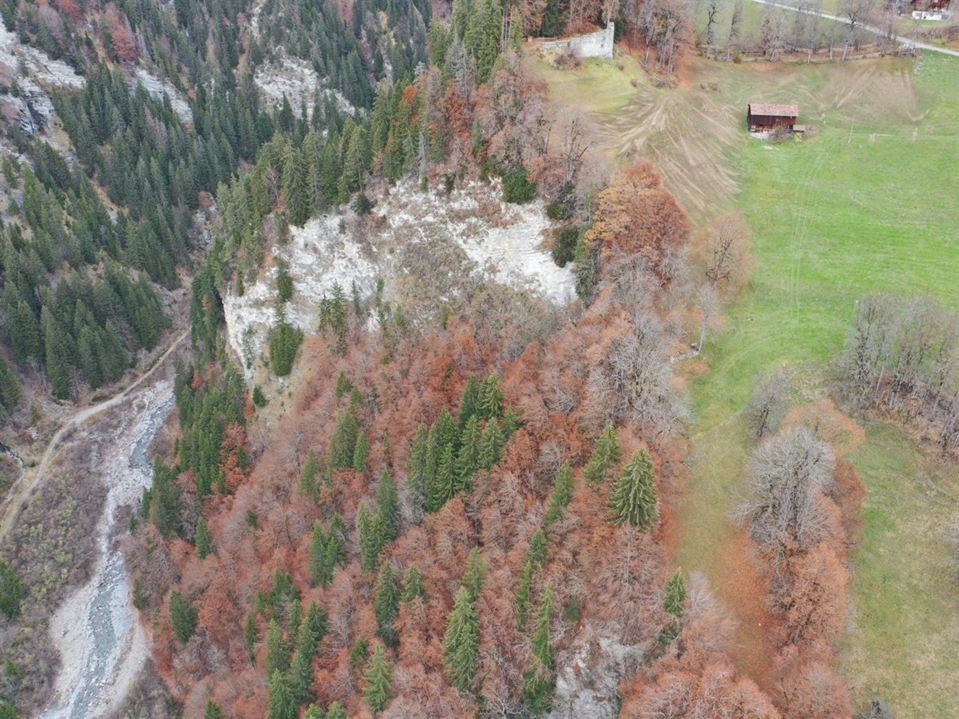 Im Bündner Tälfsch stürzte am Donnerstag ein Landwirt in den Tod. (Bild Kapo Graubünden)