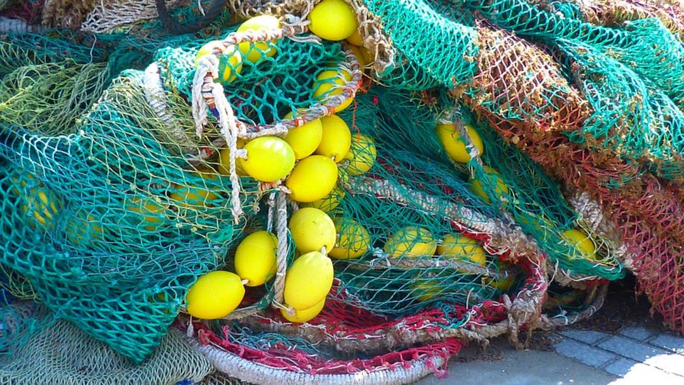 Die arktischen Länder und grosse Fischerei-Nationen haben sich geeinigt: Kommerzieller Fischfang in der Arktis solle erst stattfinden, wenn die Region ausreichend erforscht sei. (Bild Pixabay)