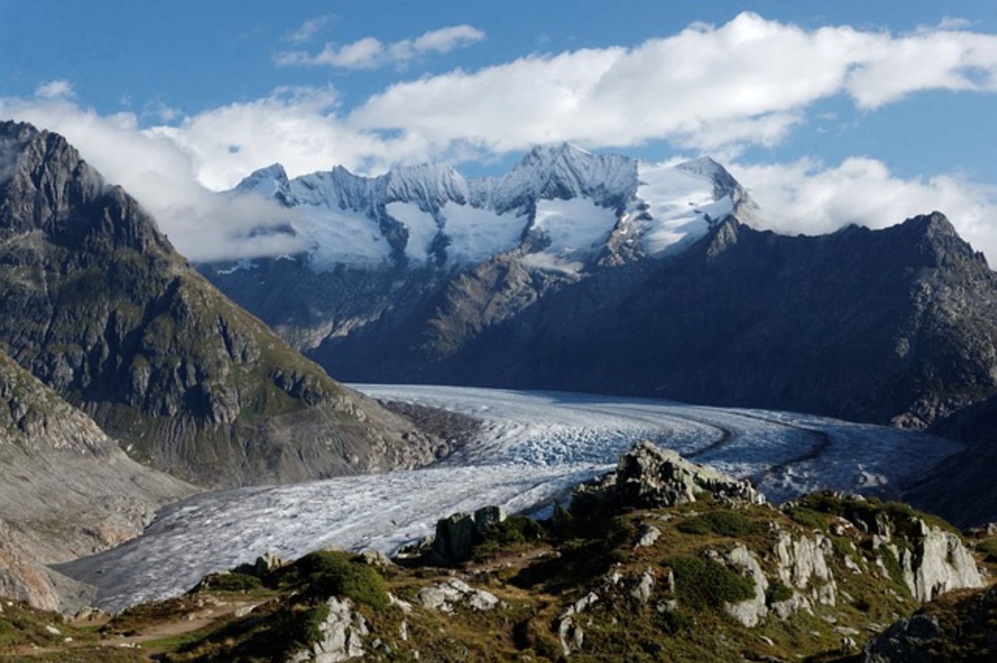 Hinter der Stiftung stehen 27 grosse Dienstleistungsunternehmen aus der Schweiz und Liechtenstein, die Geld aus ihren Rückvergütungen der CO2-Abgabe für die gemeinsame Stiftung spenden. (Bild Pixabay)
