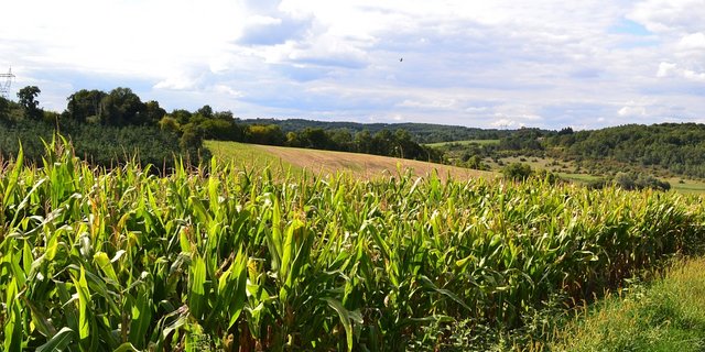 Kulturlandschaft in Frankreich. (Bild Pixabay)