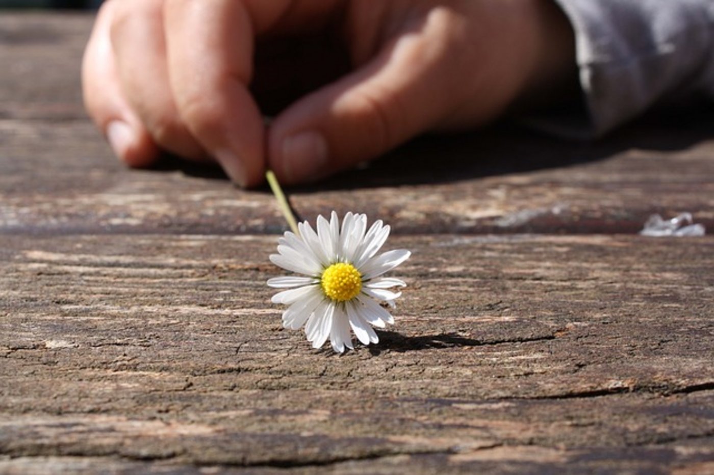 Die vermittelten Fachpersonen kennen die Bedürfnisse der Menschen auf dem Land (Symbolbild Pixabay) 