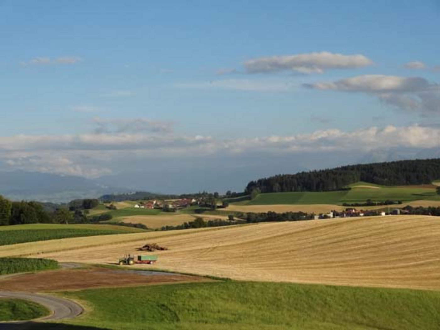 Der Bundesrat hat am Mittwoch das landwirtschaftliche Verordnungspaket verabschiedet. (Symbolbild ji)