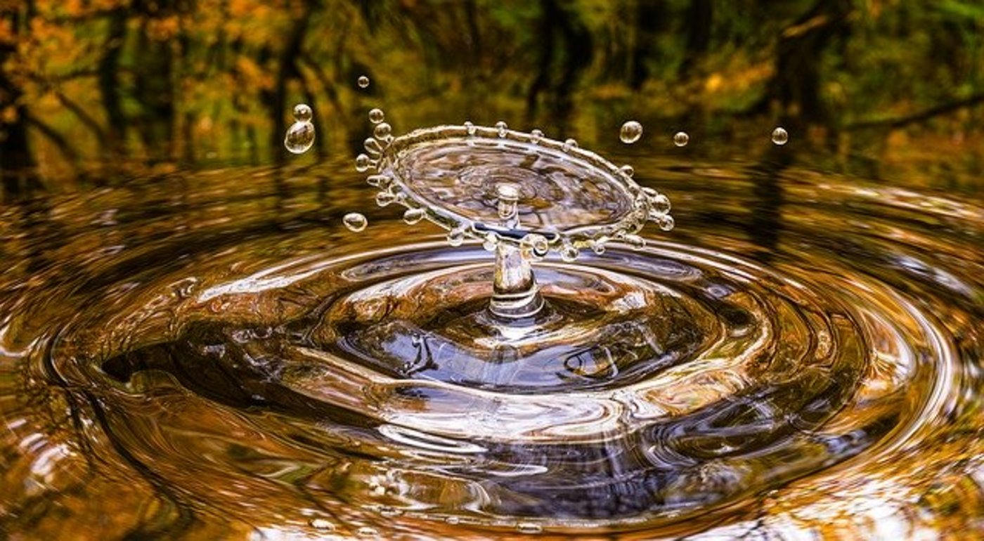 Der Dünnern-Grundwasserstrom zwischen Oensingen und Olten sei verunreinigt. (Bild Pixabay)