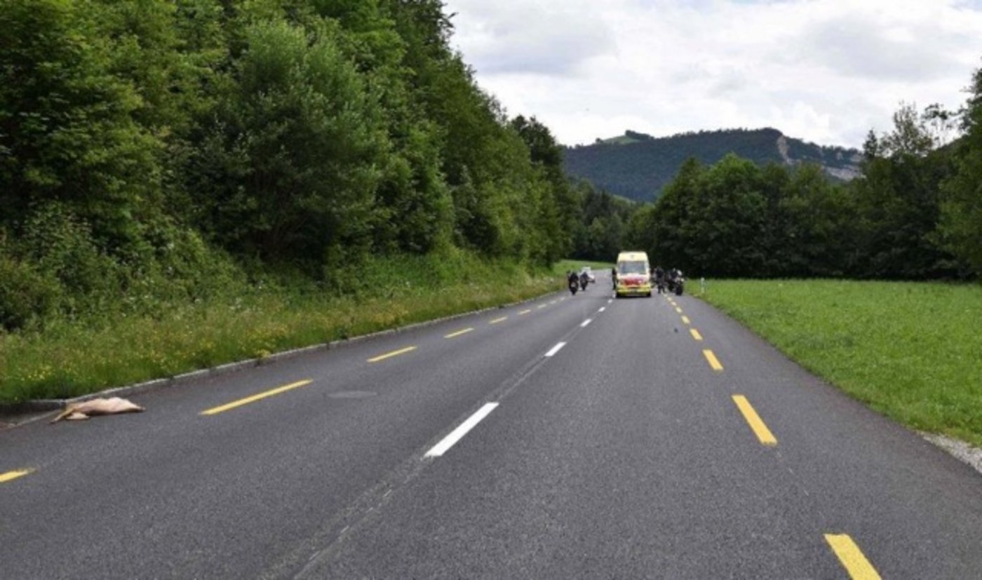 Für das Reh endete die Kollision tödlich (links). Die beiden Verletzten wurden von der Ambulanz ins Spital gebracht. (Bild Kapo SO)