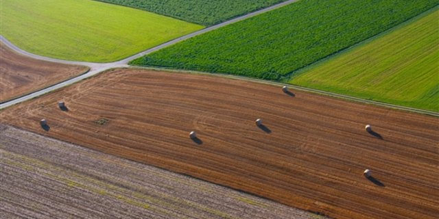 Die Schonung der Fruchtfolgefläche im Kanton Bern soll als Planungsgrundlage ins Gesetz.  (Bild: Marielle Gubelmann/landwirtschaft.ch) 