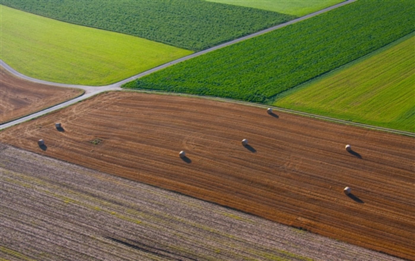 Die Schonung der Fruchtfolgefläche im Kanton Bern soll als Planungsgrundlage ins Gesetz.  (Bild: Marielle Gubelmann/landwirtschaft.ch) 