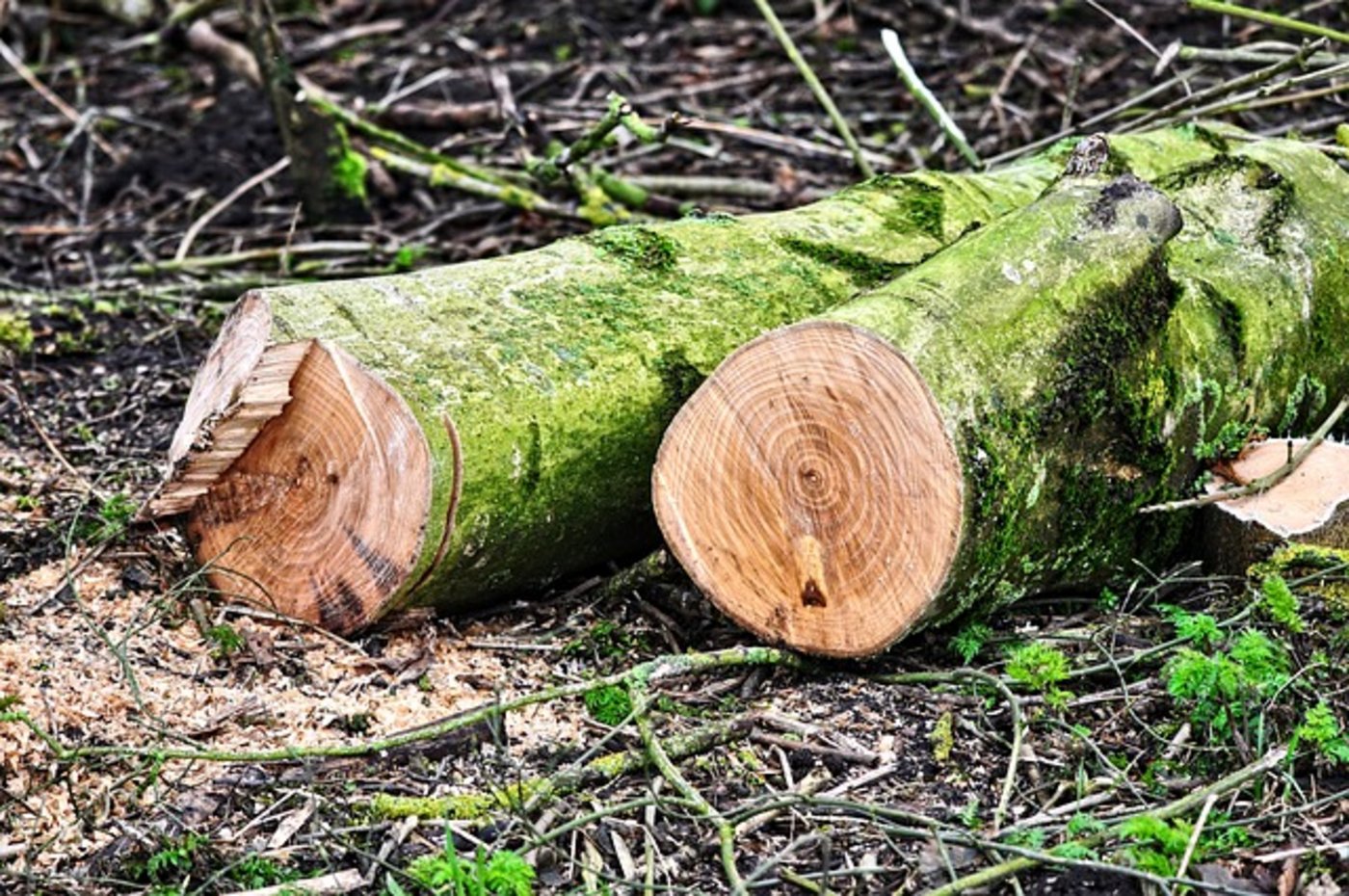 Der Gang vor Gericht endete für das Ehepaar mit einer Enttäuschung: sie müssen bezahlen. (Bild Pixabay)