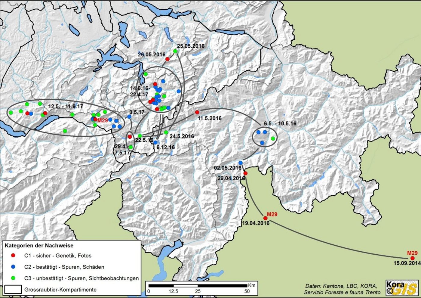Die Wanderroute von M29: Aus Italien nach Graubünden, in den Kanton Uri und letztlich nach Bern (Bild zVg).