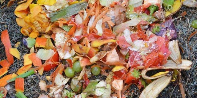 green-waste-s.jpg