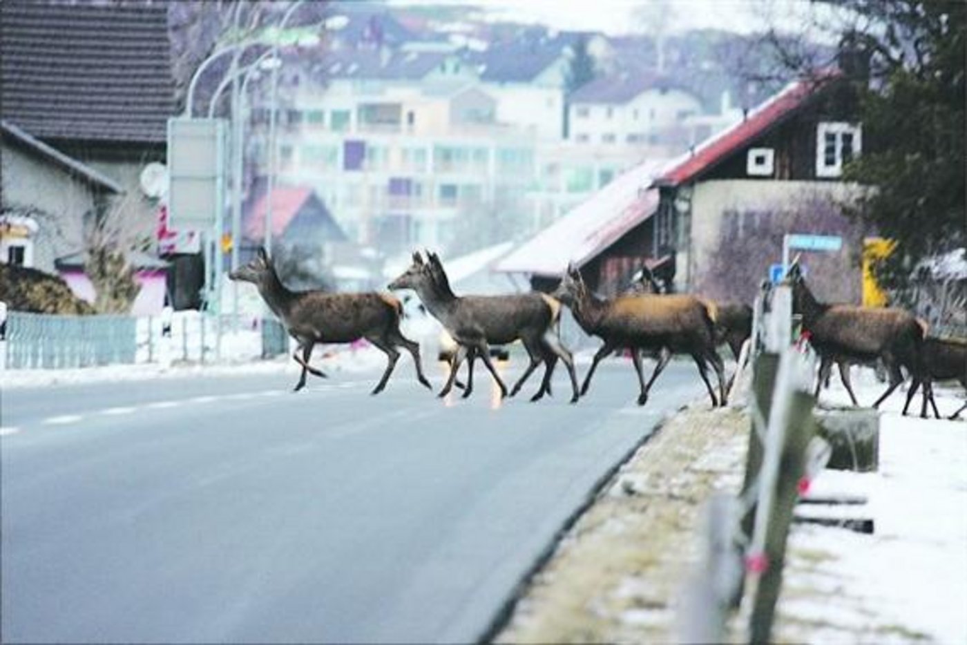 (Archivbild zVg)