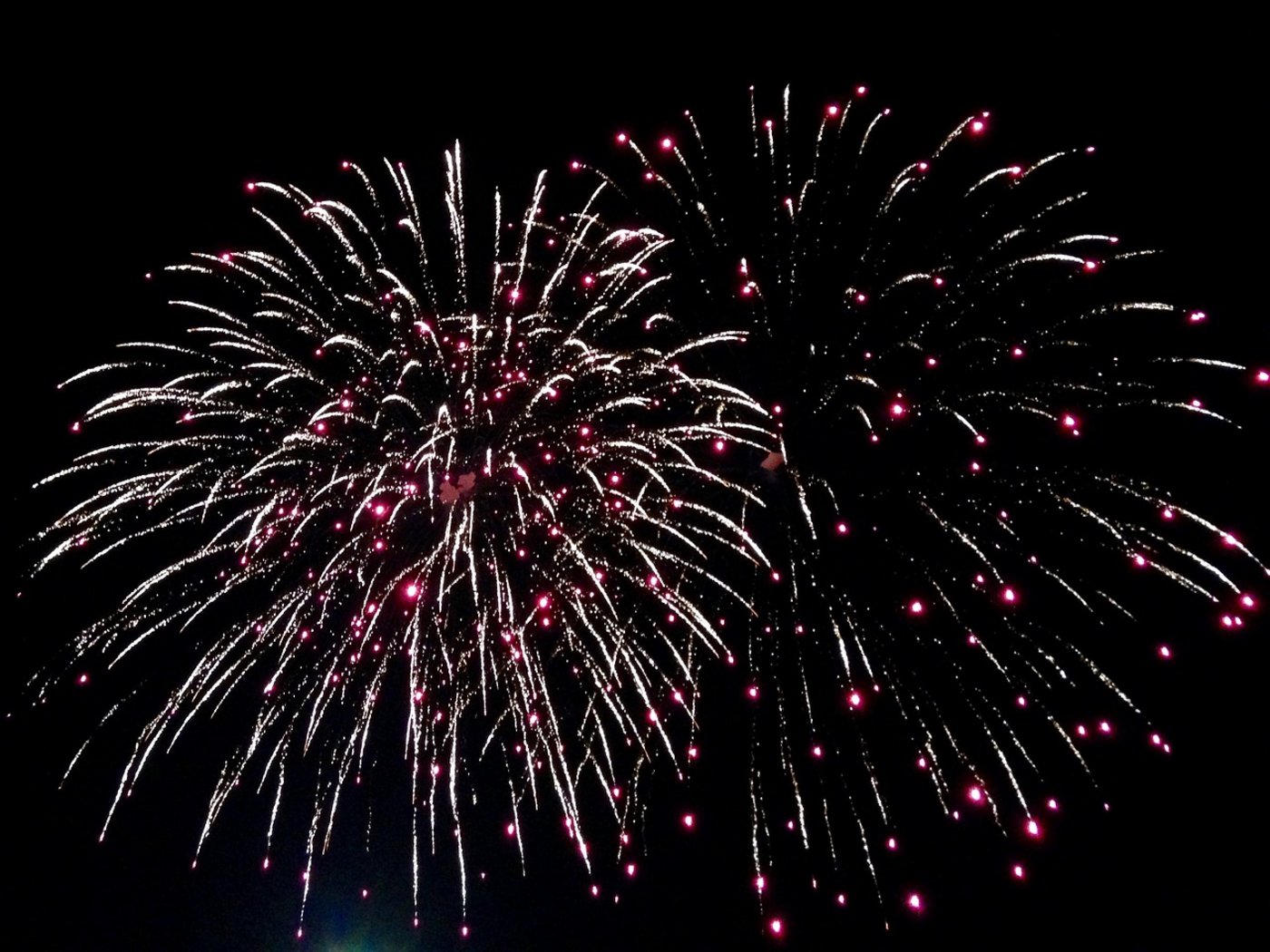Viele Städte und Gemeinden haben ihre Feuerwerke abgesagt. (Symbolbild Pixabay)
