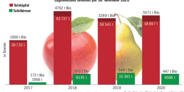 Die Lagerbestände bei den Tafeläpfeln und -birnen sind per 30.11.2020 marktkonform. Je nach Lagerhöhe sind die Richtpreise leicht gestiegen oder leicht gesunken.(Grafik BauZ)
