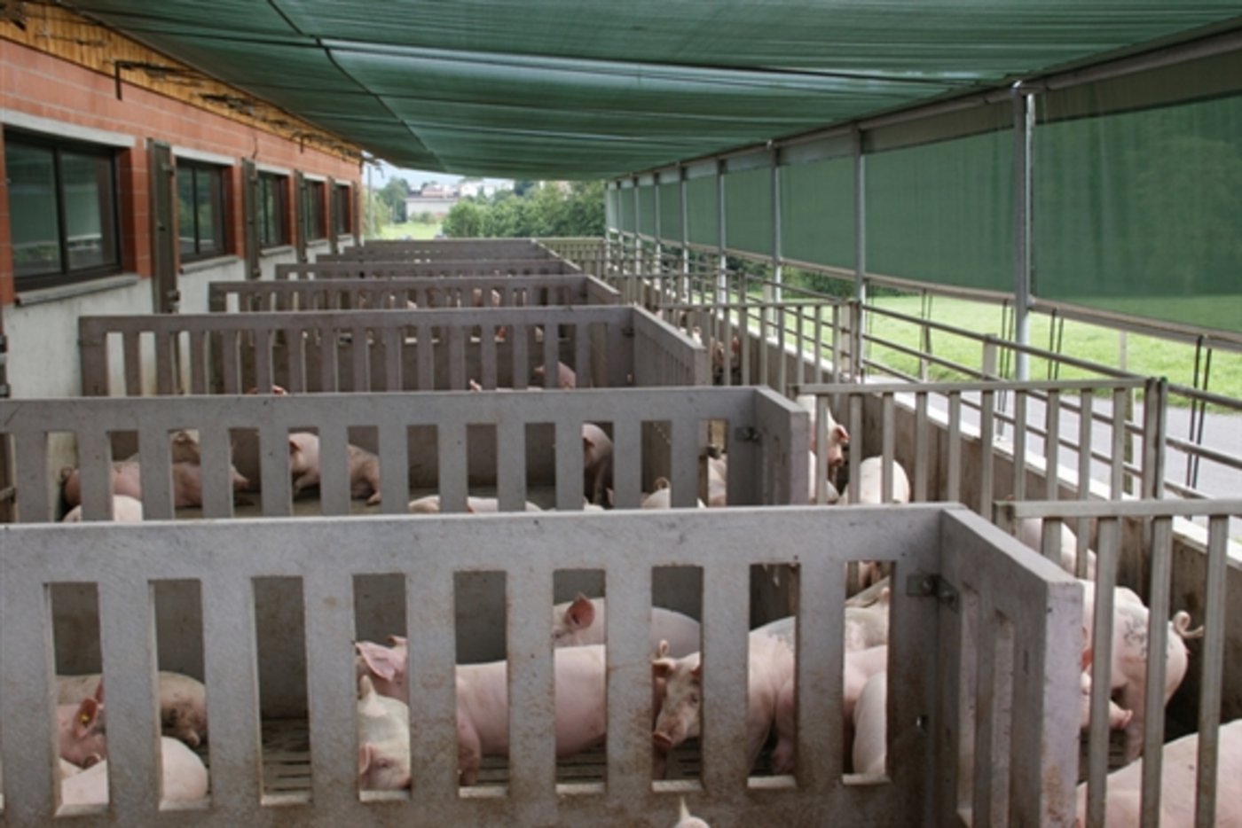 Die Stiftung Landschaftsschutz legt gerne Beschwerde gegen Bauvorhaben in der Landwirtschaft, etwa neue Ställe, ein. (Symbolbild lid)