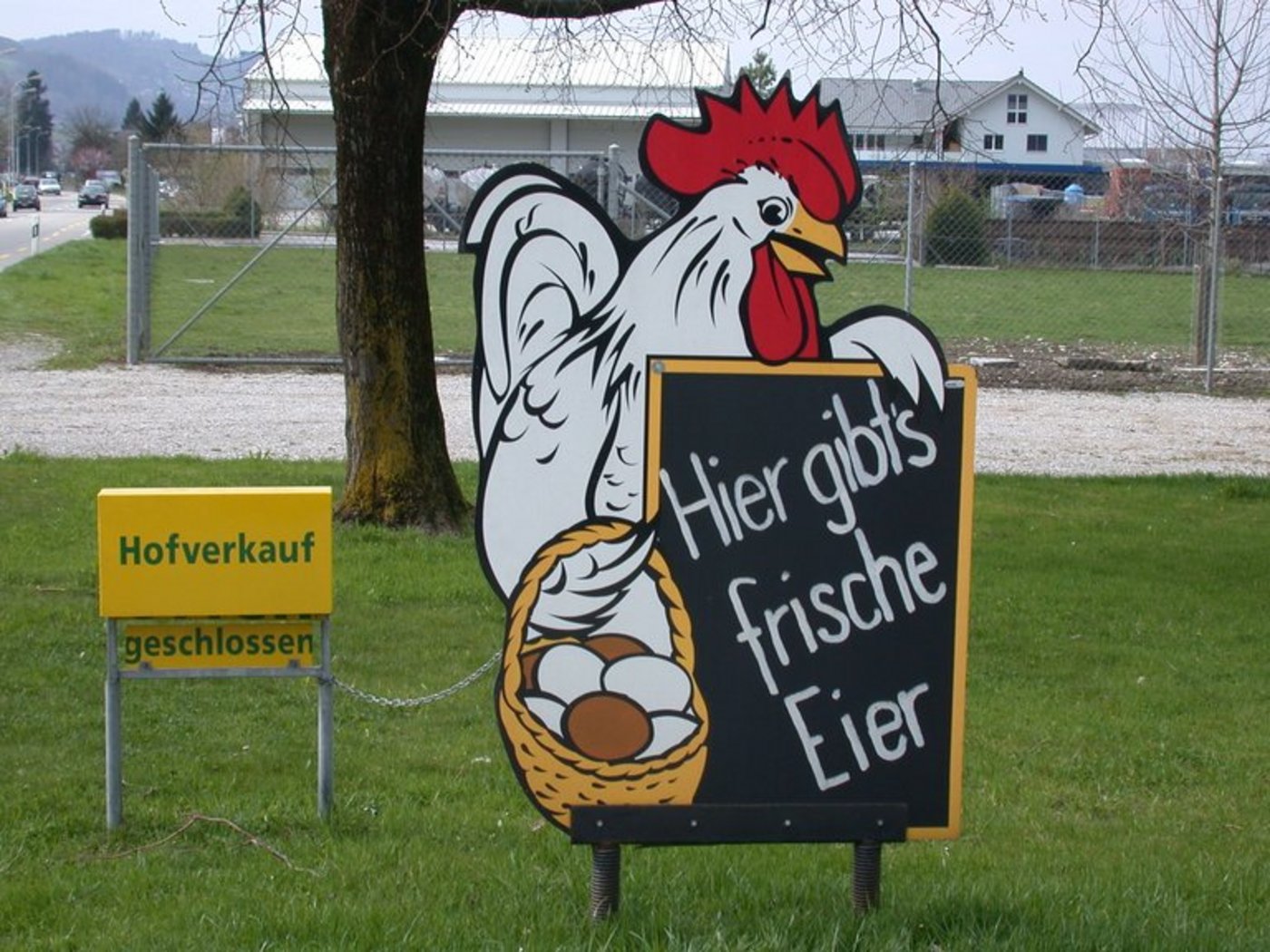 Eier ab Hof werden auf Grund des Fipronil-Skandals bei den Konsumenten immer beliebter. (Symbolbild lid)