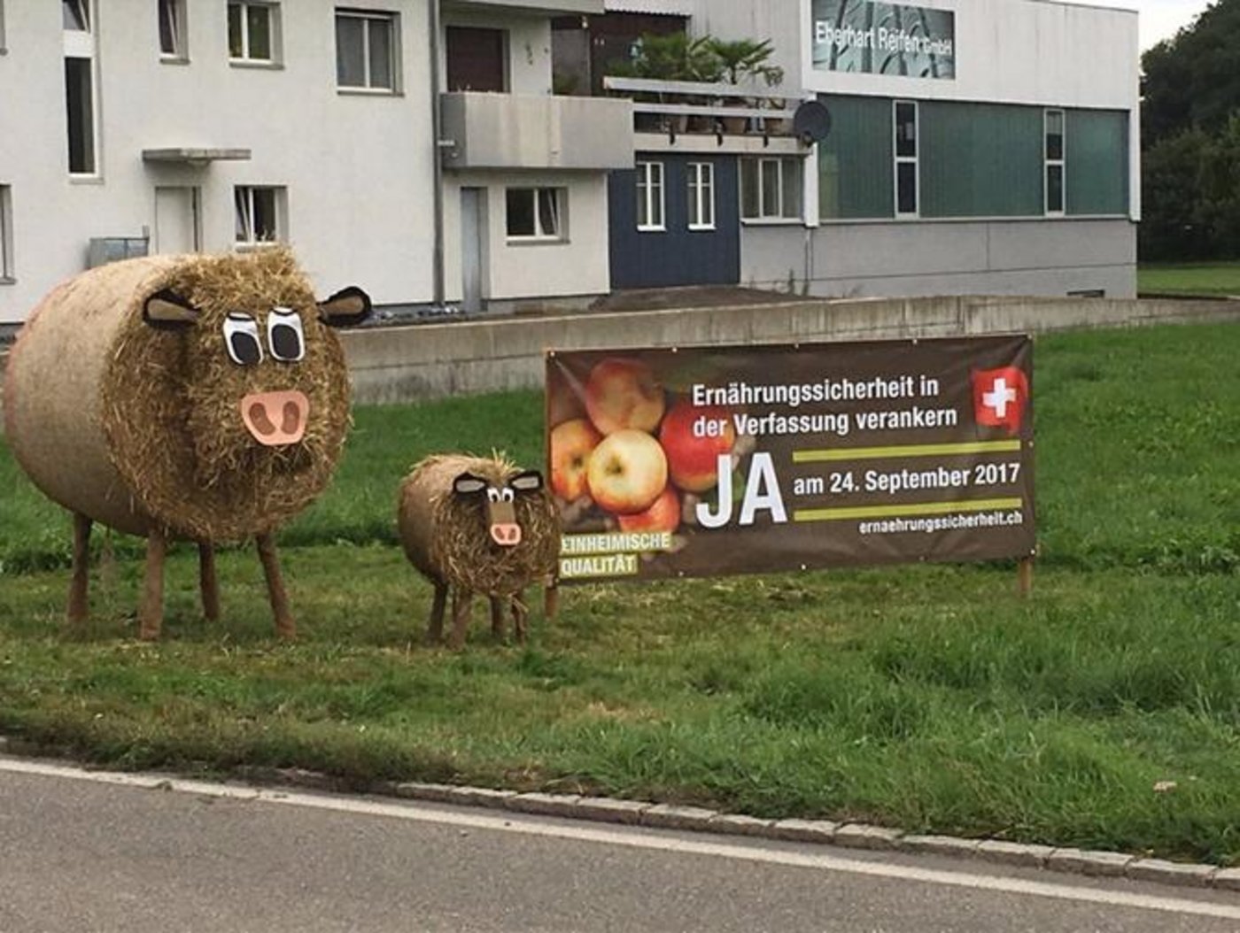 Vielerorts werben Landschaftssujets für ein Ja am 24. September:Diese Schafe stehen im Amrilswil TG. (Bild Ralph Anderes)