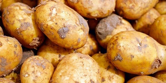 Swisspatat fordert die Produzenten zudem auf, nur die Menge zu produzieren, welche von den Abnehmern schriftlich zugesichert werde. (Symbolbild Pixabay)