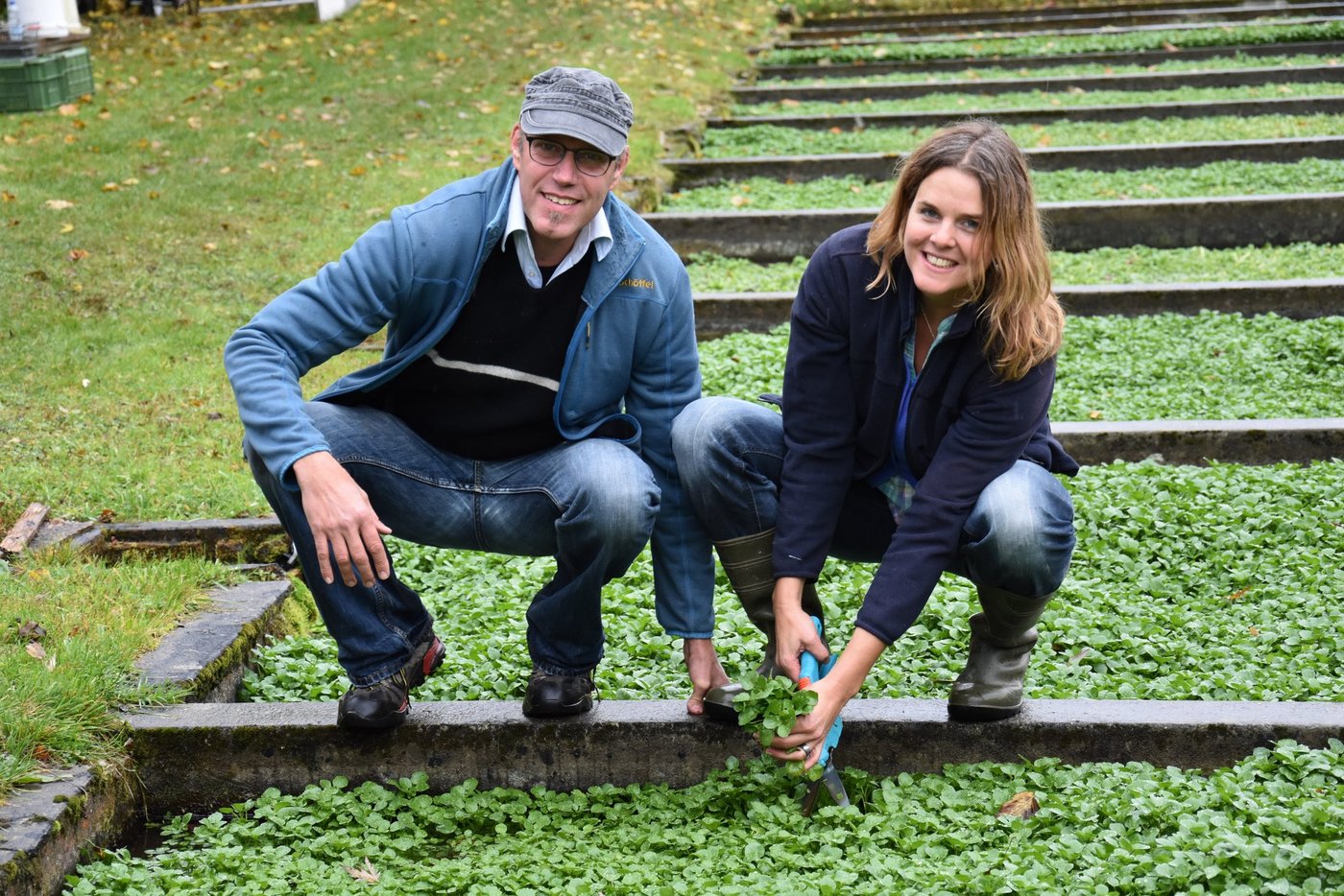 Die neuen Geschäftsleiter der BrunnBachKresse GmbH: Daniel Nussbaumer und Bettina Springer (Alle Bilder Marcel Schmid)