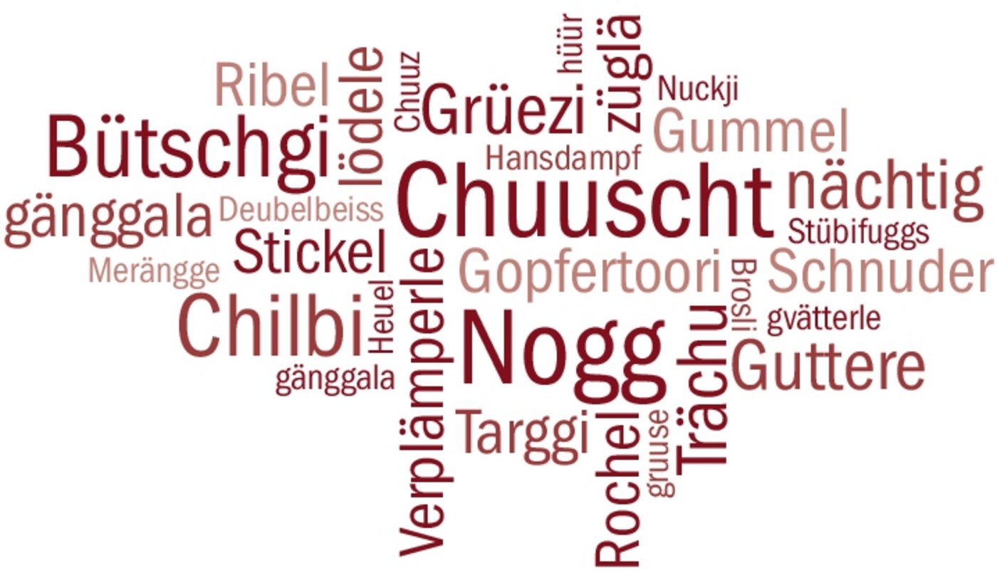 Die Schweizerdeutsche Mundart ist überaus vielfältig und variantenreich. Das Idiotikon verzeichnet die Sprache und ihre Geschichte, während laufend Forschungen betrieben werden. Das gleichnamige Institut unterstützt verwandte Projekte.(Bild BauZ)