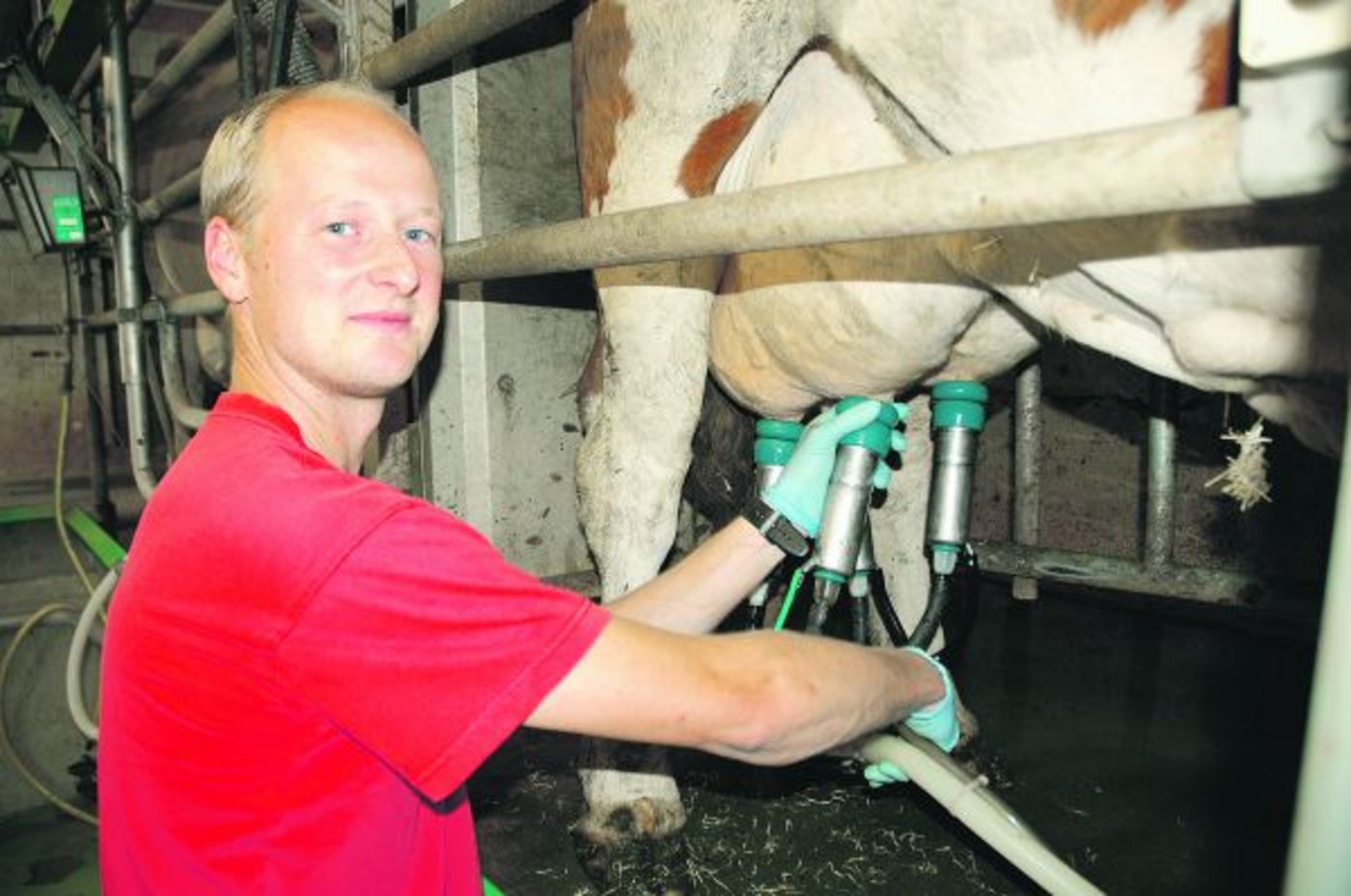Walter Haas steht mit seinem Milchwirtschaftsbetrieb Krummbaum in Hellbühl LU in der Umstellungsphase auf Bio. Seine Umstellungsmilch muss er wieder wie gewohnt als Industriemilch liefern. (Bild Josef Scherer)