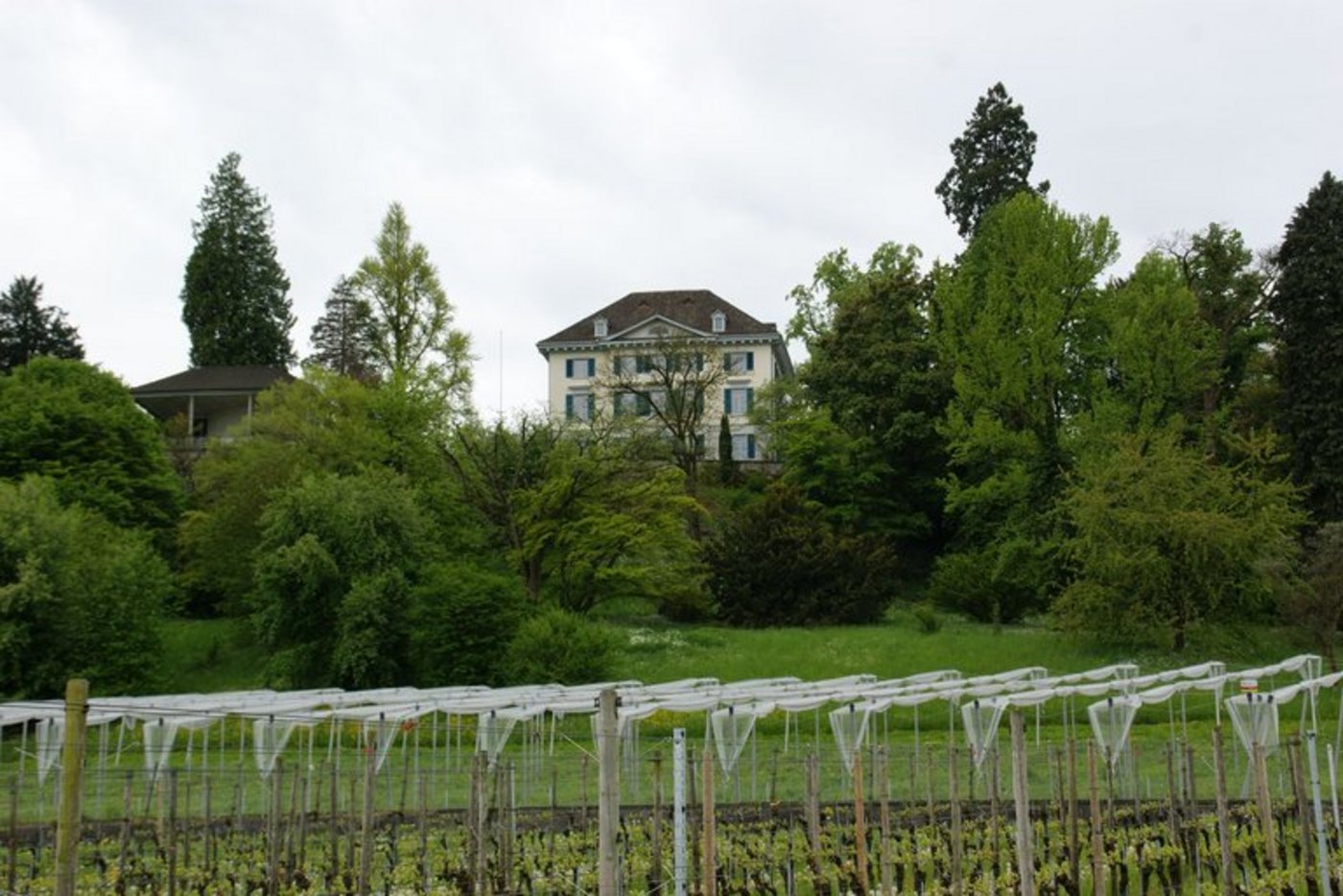 Der Agroscope-Standort in Wädenswil ZH. (Bild ji)