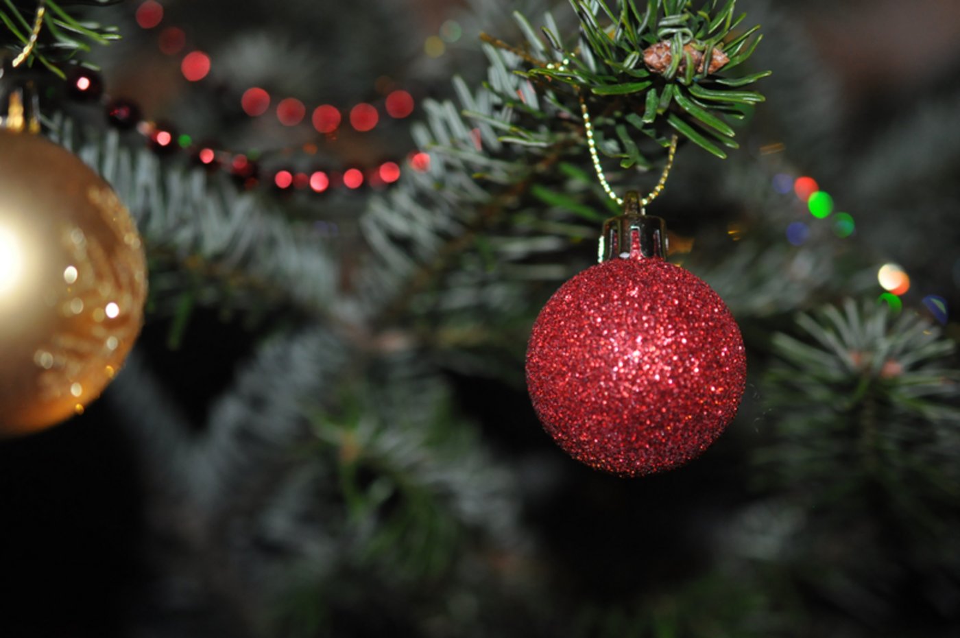 Bald steht er wieder schön geschmückt in der Stube: der Christbaum. (Bild pd)