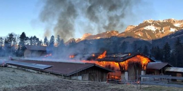 Der Scheunenbrand konnte durch die Feuerwehr gelöscht werden. Menschen und Tiere kamen keine zu Schaden. (Bild Kapo BE)