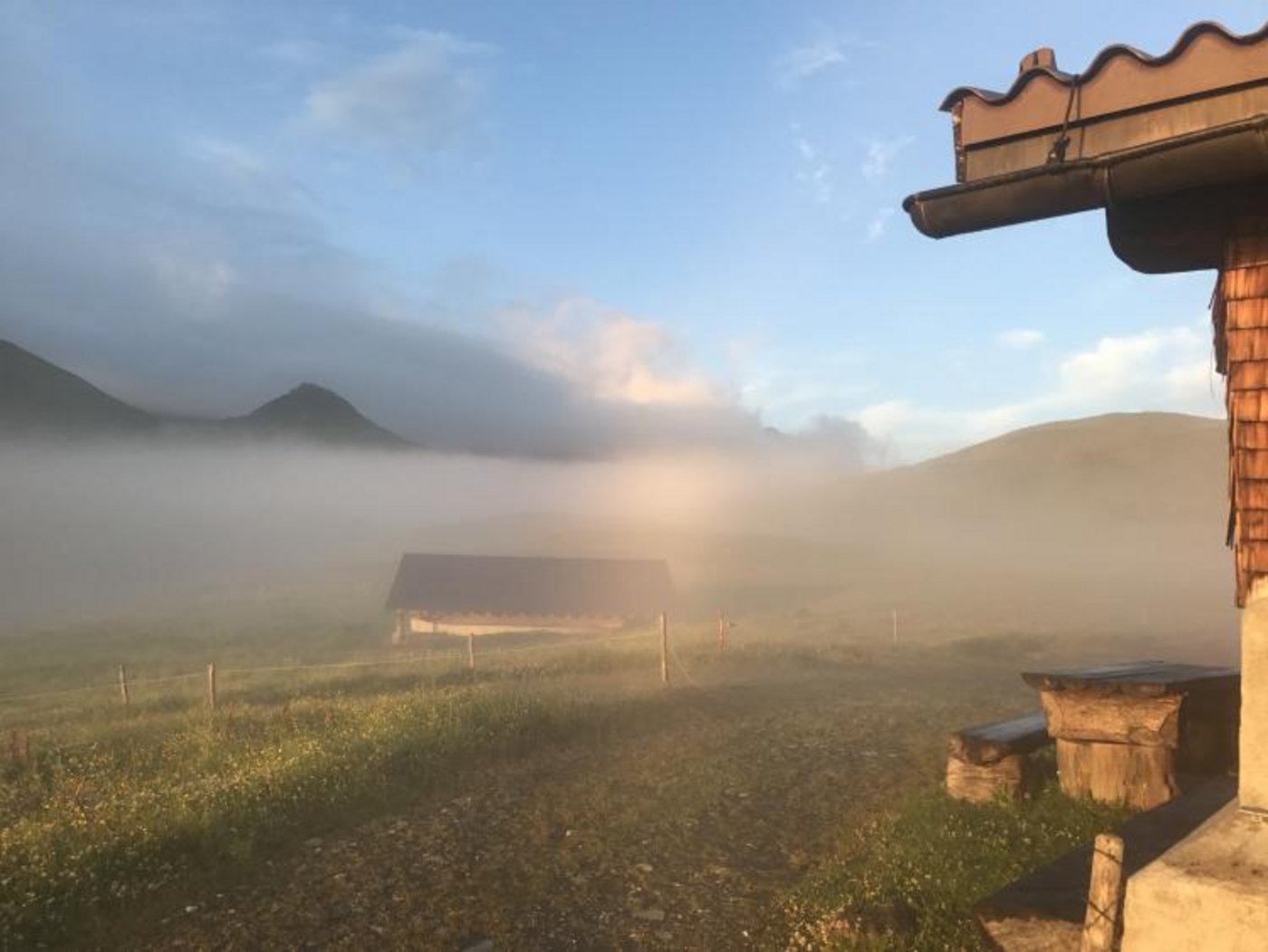 Eindrücke von der Alp Fideriser Duranna. (Bilder zVg)
