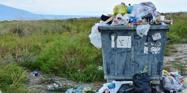 Um konkrete Massnahmen gegen Littering zu erarbeiten, will sich der Bundesrat mit den Kantonen in Verbindung setzten. (Bild Pixabay)