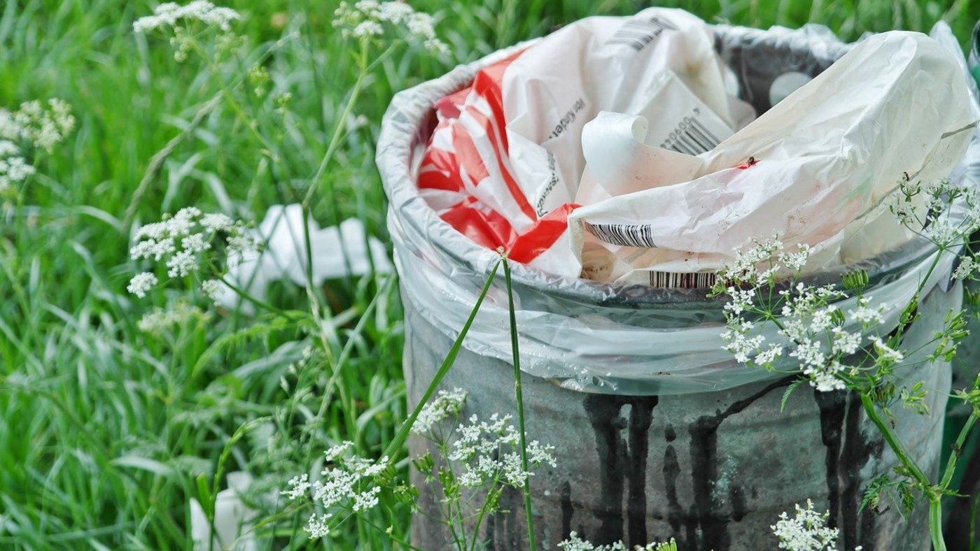 Neben dem Abrieb von Autoreifen ist Littering die Hauptquelle für Plastik in der Umwelt. (Bild Pixabay)
