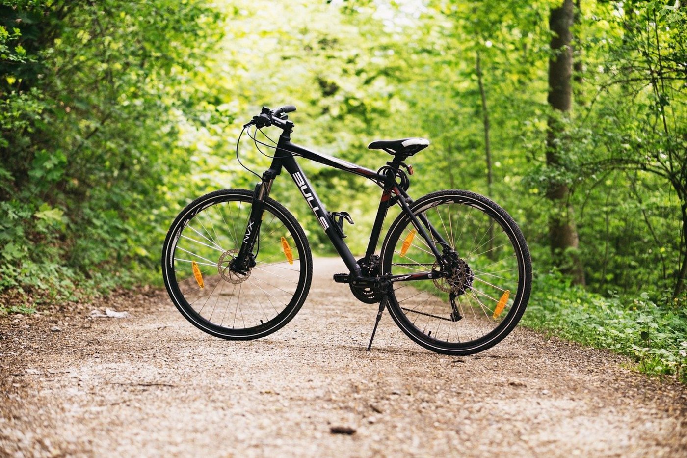 Wo dürfen Velofahrer kurven und wo befinden sich Wildruhezonen? – Solche Dinge regelt ein Waldentwicklungsplan. (Symbolbild Pixabay) 